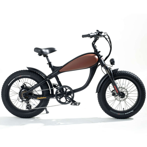 14 in. 350-Watt Electric Bike Fat Tire Mini Ebike Urban City