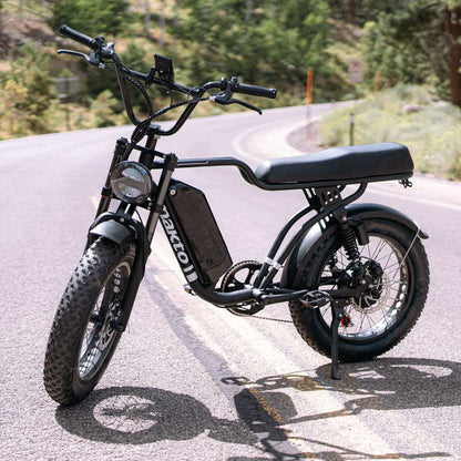 Nakto F2 20" Fat Tire Professional Electric Bike