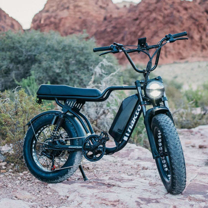 Nakto F2 20" Fat Tire Professional Electric Bike