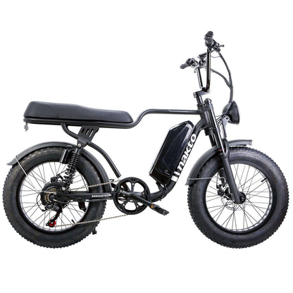 Nakto F2 20" Fat Tire Professional Electric Bike