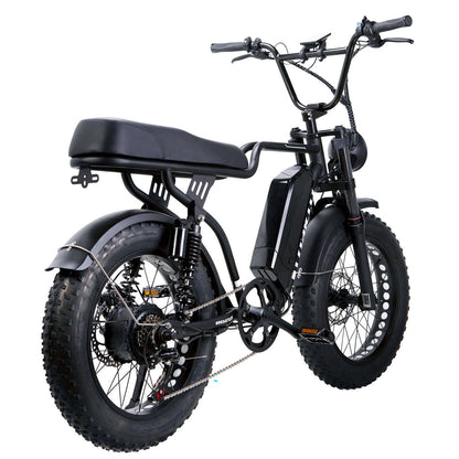 Nakto F2 20" Fat Tire Professional Electric Bike