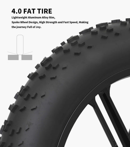 Aostirmotor Storm Fat Tire Electric Bike