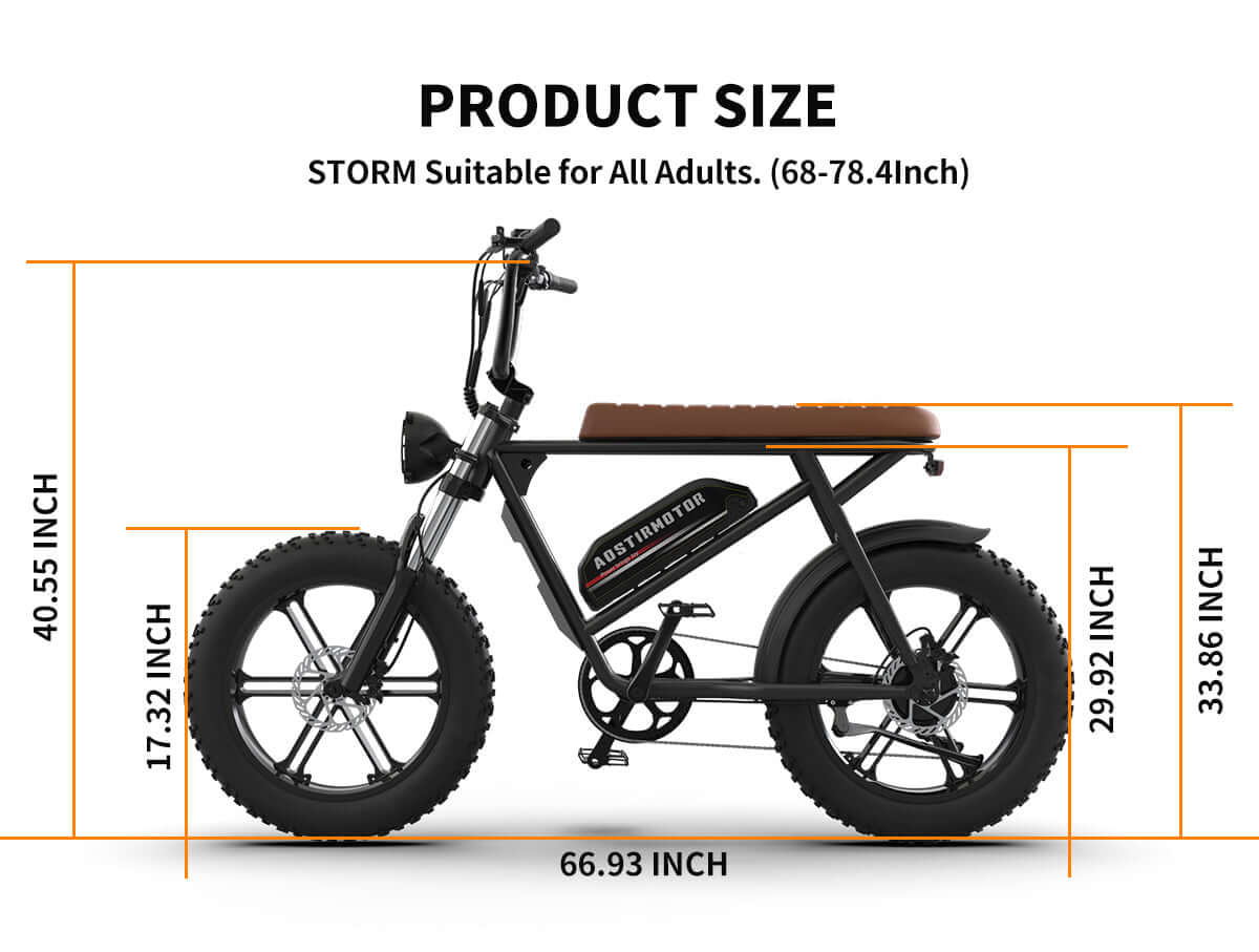 Aostirmotor Storm Fat Tire Electric Bike