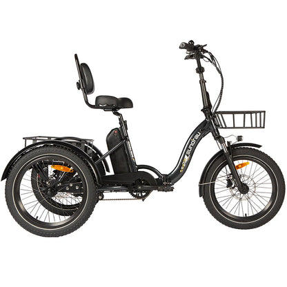 Eunorau ONE-TRIKE 48V 500W Electric Trike