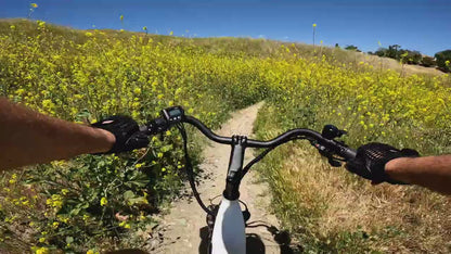 E-Joe Jade Beach Cruiser Step Through City Electric Bike