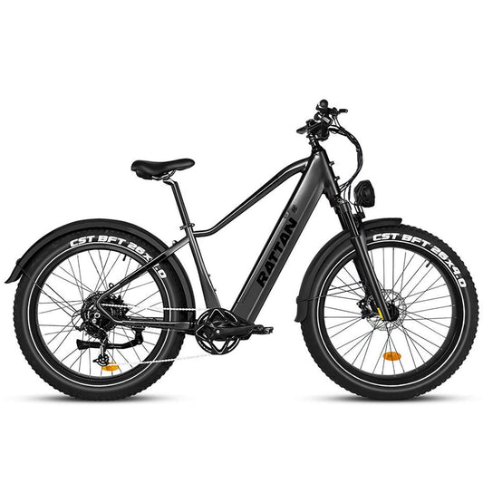 Rattan Pathfinder Fat Tire Electric Bike