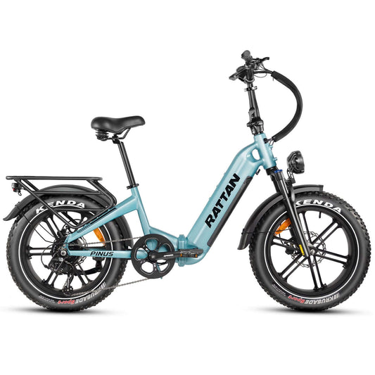 Rattan Pinus Foldable Electric Bike