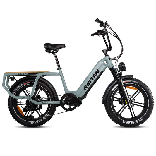 Rattan Quercus Fat Tire Cargo Electric Bike