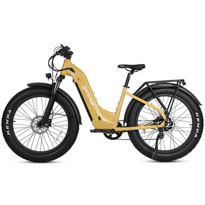 Young Electric E-Scout Pro Step-Through Electric Bike