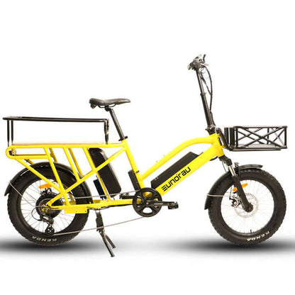 Ebike - Eunorau G30 Cargo Delivery Cargo City Electric Bike