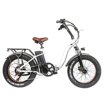 Ebike - Nakto Steady 48V 500W 20" Fat Tire Folding Electric Bike